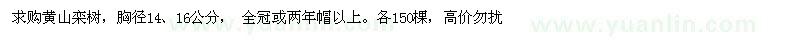 求购胸径14、16公分黄山栾树