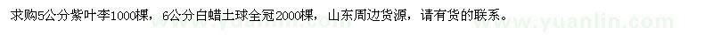 求购5公分紫叶李、6公分白蜡