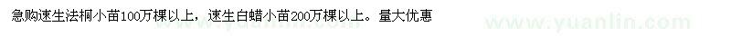 求购速生法桐小苗、速生白蜡小苗