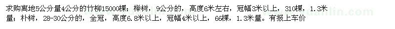 求购竹柳、榉树、朴树