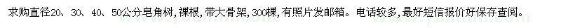 求购直径20、30、40、50公分皂角树