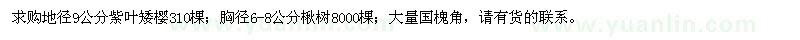 求购紫叶矮樱、楸树、国槐角