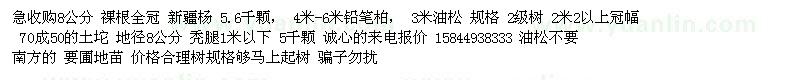 求购油松、新疆杨、铅笔柏