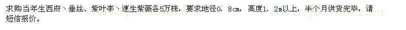 求购紫叶李、西府海棠、垂丝海棠等苗木