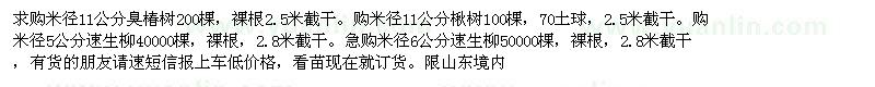 求购臭椿、楸树、速生柳