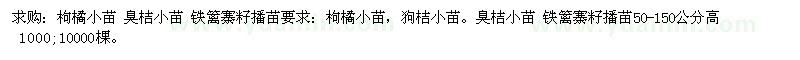 求购枸橘小苗、臭桔小苗、铁篱寨籽播苗