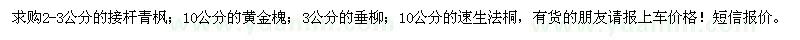 求购接杆青枫、黄金槐、垂柳