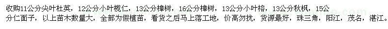 求购尖叶杜英、小叶榄仁、樟树、小叶榕、秋枫、仁面子