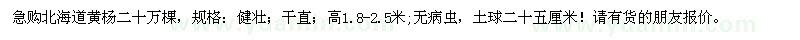 求购高1.8-2.5米北海道黄杨