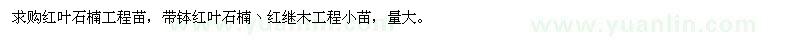 求购红叶石楠工程苗、红继木工程小苗