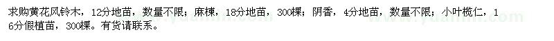 求购黄花风铃木、麻楝、阴香