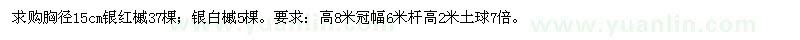 求购胸径15公分银红槭、银白槭