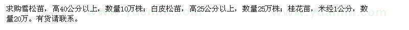 求购雪松苗、白皮松苗、桂花苗