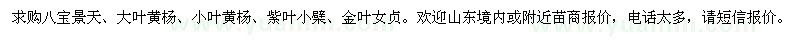 求购八宝景天、大（小）叶黄杨、紫叶小檗