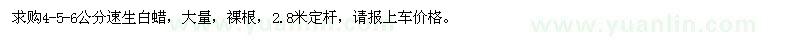 求购4、5、6公分速生白蜡