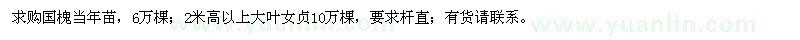 求购国槐当年苗、高2米以上大叶女贞