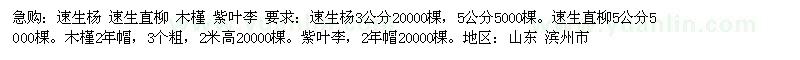 求购速生杨、速生直柳、木槿