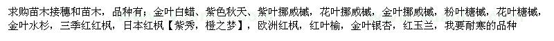 求购金叶白蜡、紫色秋天、紫叶挪威槭