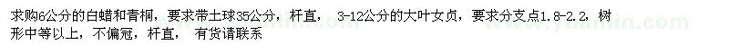 求购白蜡、青桐、大叶女贞