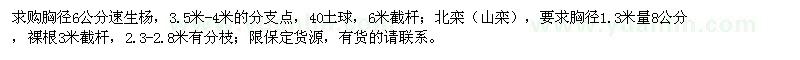 求购胸径6公分速生杨、8公分北栾