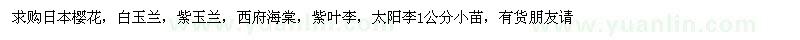 求购日本樱花、白玉兰、紫玉兰