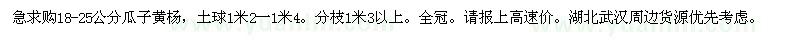 求购18-25公分瓜子黄杨