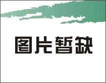 鄂尔多斯-10公分北栾树苗--山货野生苗