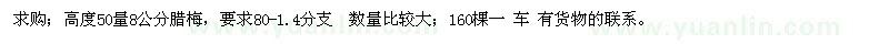 求购高度50量8公分腊梅