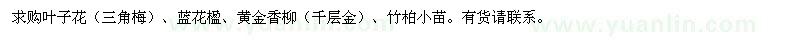 求购叶子花、蓝花楹、黄金香柳等