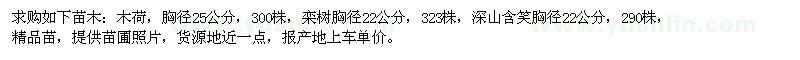 求购木荷、栾树、深山含笑