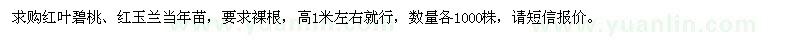 求购高1米左右红叶碧桃、红玉兰当年苗