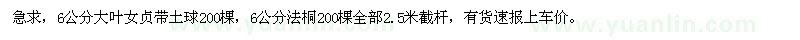 求购6公分大叶女贞、法桐