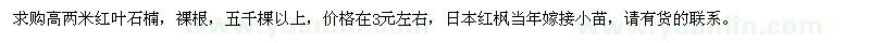 求购高2米红叶石楠、日本红枫当年嫁接小苗