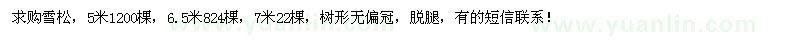 求购5米、6.5米、7米雪松