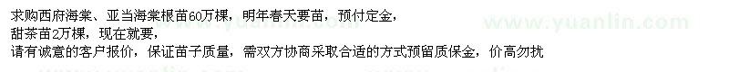 求购西府海棠、亚当海棠根苗、甜茶苗