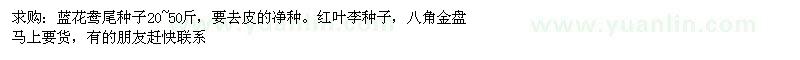 求购蓝花鸯尾种子、红叶李种子、八角金盘