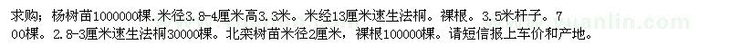 求购杨树苗、速生法桐，北栾树苗