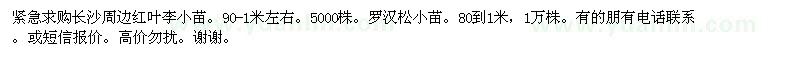 求购红叶李小苗、罗汉松小苗