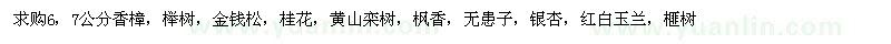 求购香樟、榉树、金钱松等