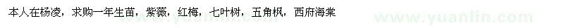 求购紫薇、红梅、七叶树等