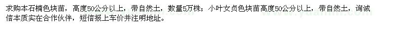 求购高度50公分以上本石楠、小叶女贞色块苗