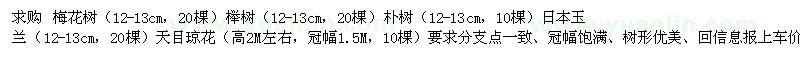 求购梅花树、榉树、朴树等