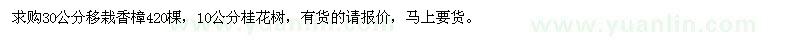 求购30公分移栽香樟、10公分桂花树
