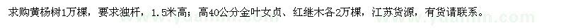 求购黄杨树、金叶女贞、红继木