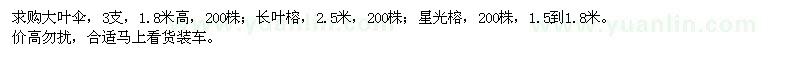 求购大叶伞、长叶榕、星光榕