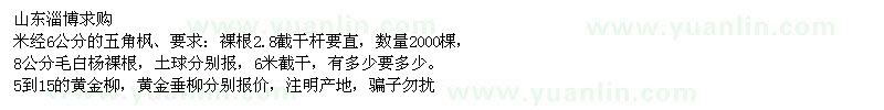 求购五角枫、毛白杨、黄金柳