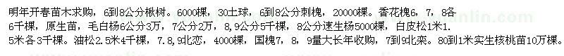 求购楸树、刺槐、香花槐等