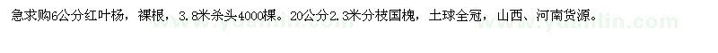 求购6公分红叶杨、20公分国槐