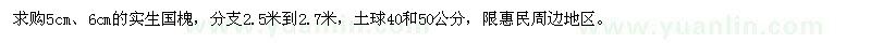 求购5、6公分实生国槐