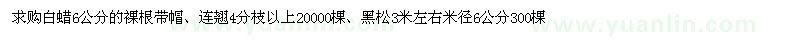 求购白蜡、连翘、黑松